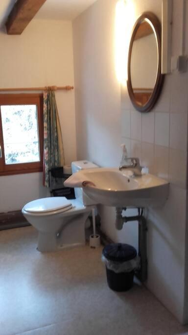 Appartement Dans Vielle Ferme Au Coeur Des Vosges Plainfaing Exterior foto